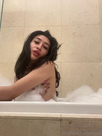 tinypix Çıplak Sızıntıları OnlyFans Fotoğraf 6