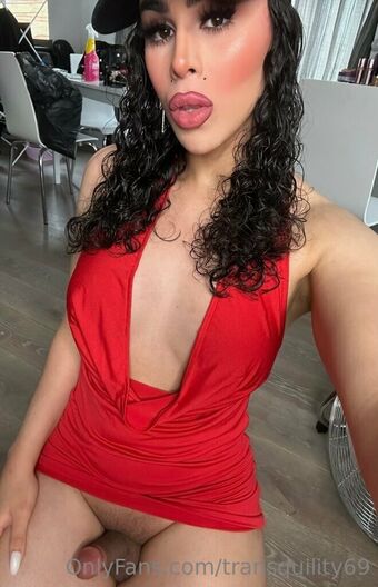 transquility69 Çıplak Sızıntıları OnlyFans Fotoğraf 18
