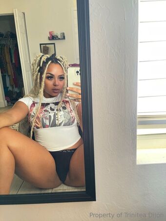 TrinDen Çıplak Sızıntıları OnlyFans Fotoğraf 51