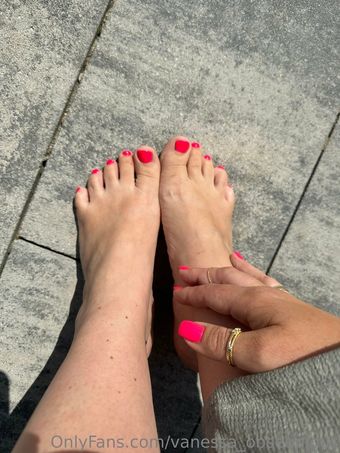 vanessa_obsequious