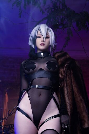 visagefox