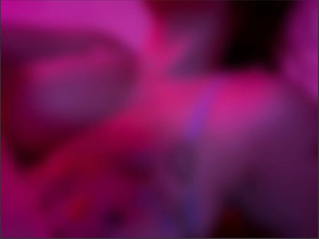 Wanda Çıplak Sızıntıları OnlyFans Fotoğraf 2