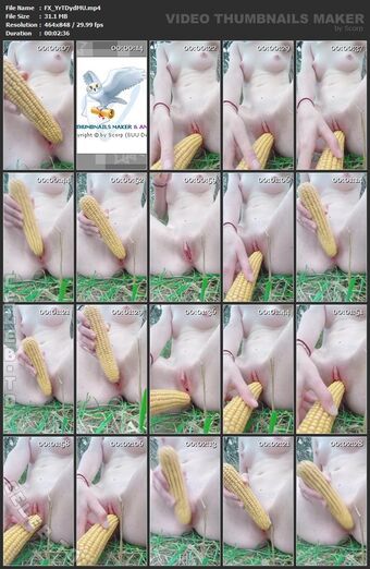 Whitebunny Çıplak Sızıntıları OnlyFans Fotoğraf 29