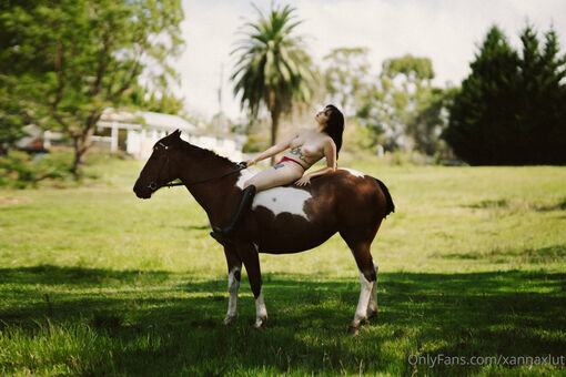 xannaxlut