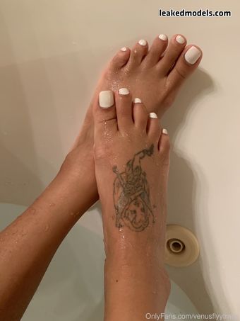 Venusflyytrapp